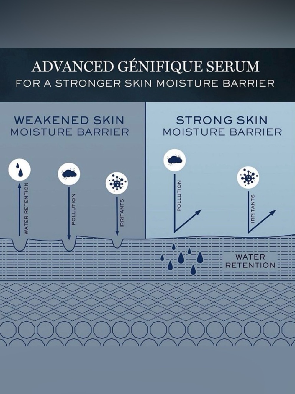 Lancôme Advanced Génifique Youth Activating Concentrate - Picture 10 of 11